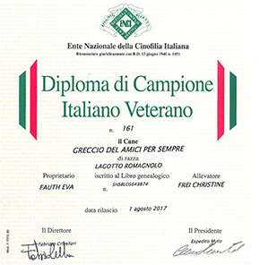 diploma 2017